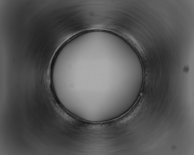 X0000102820892200809081128