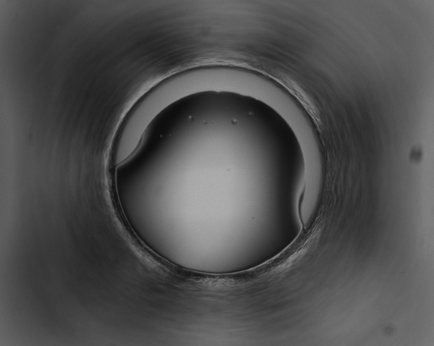 X0000102820893200809081128