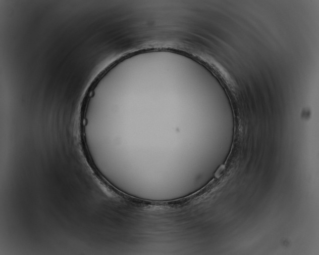 X0000102820894200809081128