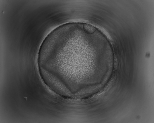 X0000102820895200809081128