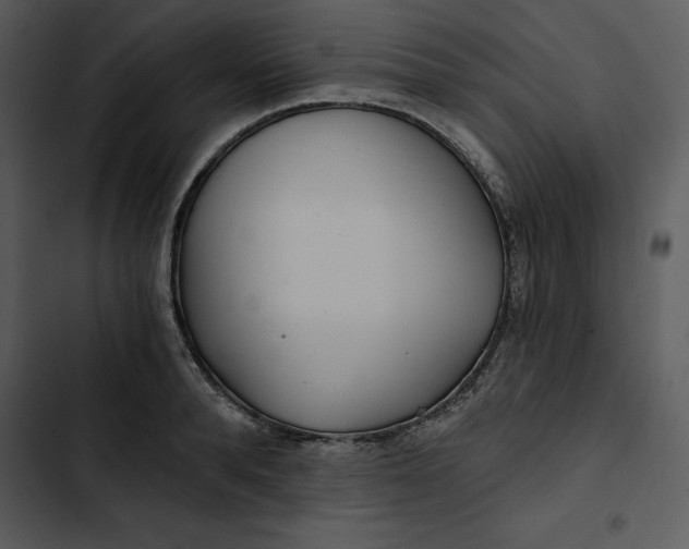 X0000102820896200809081128