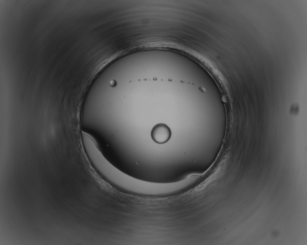 X0000102820897200809081128