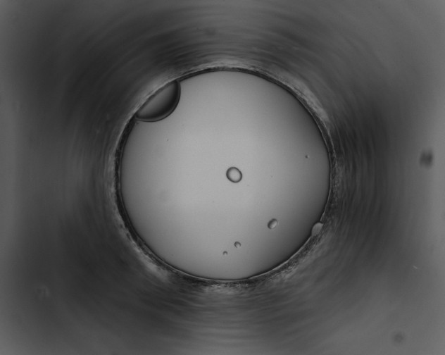 X0000102820898200809081128