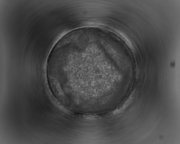 X0000102820899200809081128