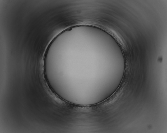 X0000102820900200809081128