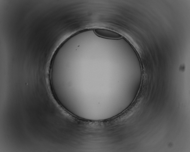 X0000102820901200809081128