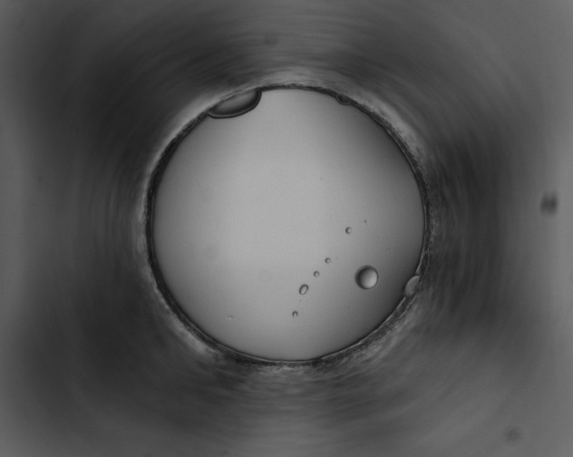 X0000102820902200809081128