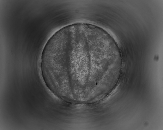 X0000102820903200809081128