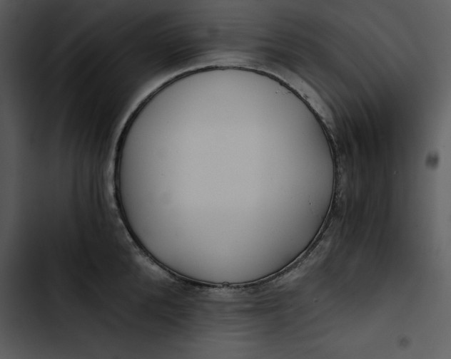 X0000102820904200809081128