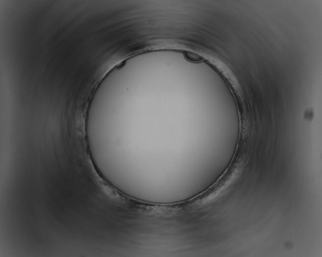 X0000102820905200809081128