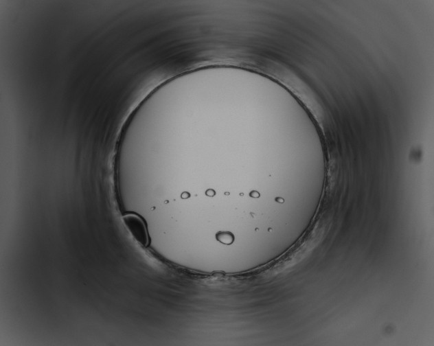 X0000102820906200809081128