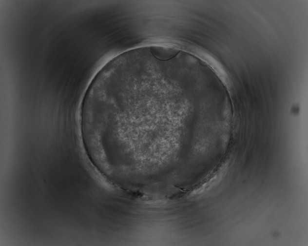 X0000102820907200809081128