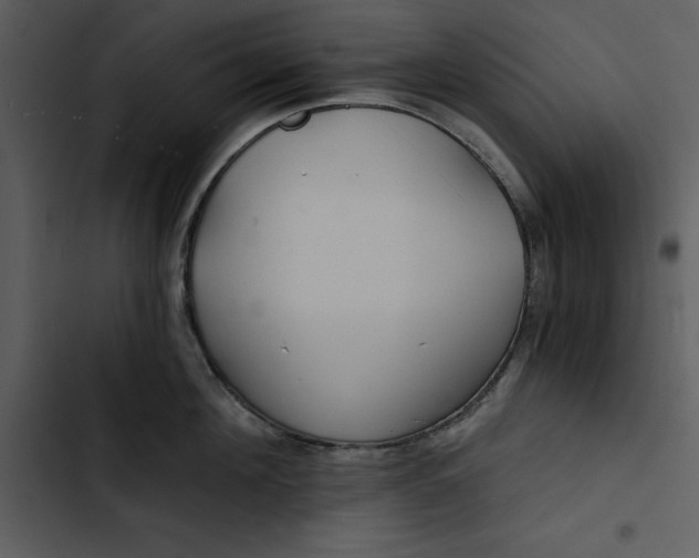 X0000102820908200809081128