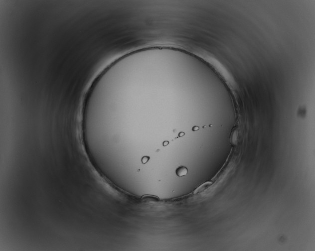 X0000102820910200809081128