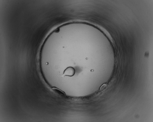 X0000102820911200809081128