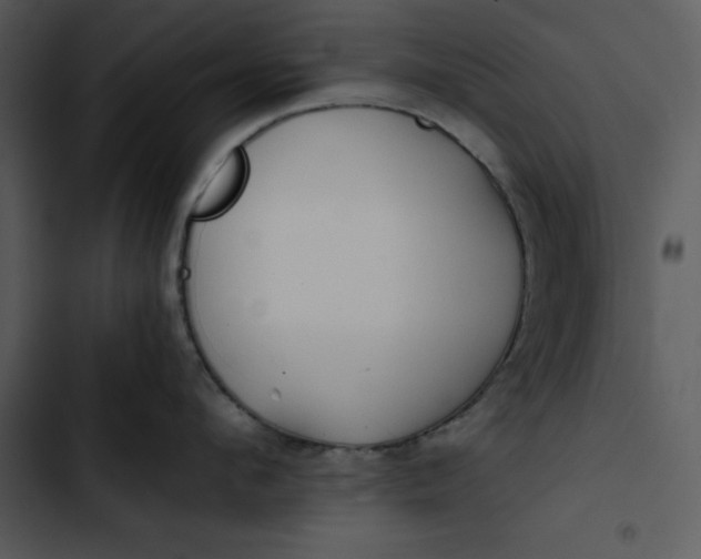 X0000102820912200809081128