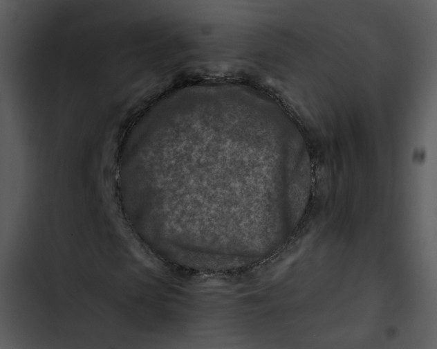 X0000102820913200809081127