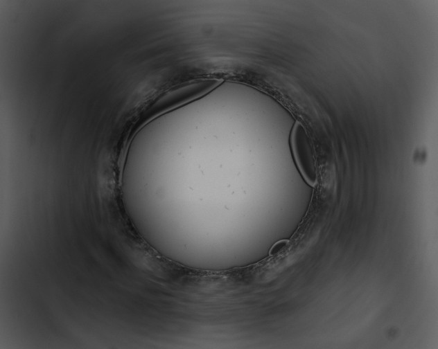 X0000102820916200809081127