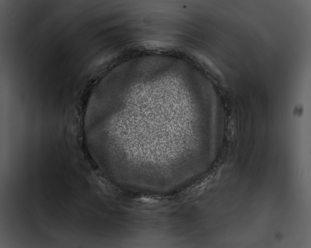 X0000102820917200809081127