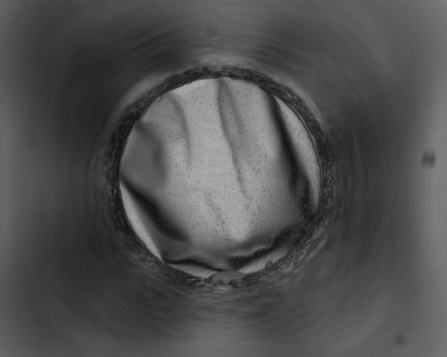 X0000102820919200809081127