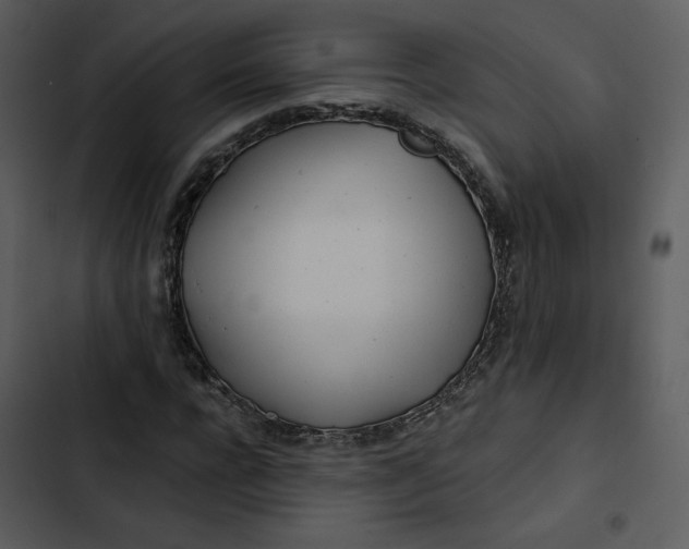 X0000102820920200809081127