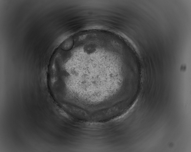 X0000102820921200809081127