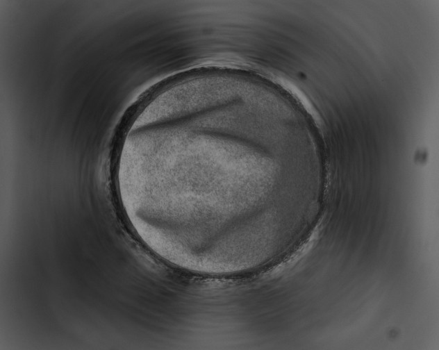 X0000102820923200809081127