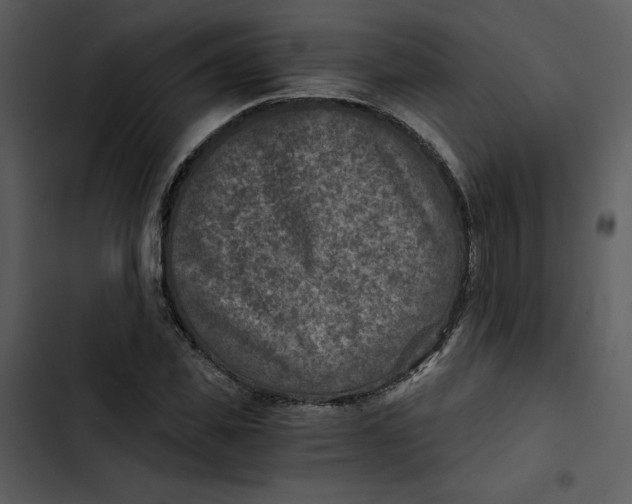 X0000102820925200809081127