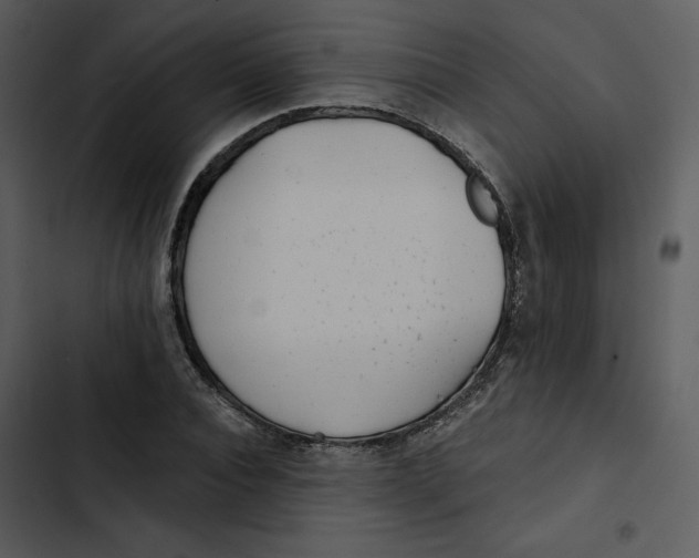 X0000102820928200809081127