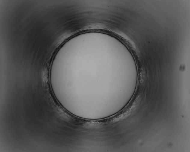 X0000102820929200809081127