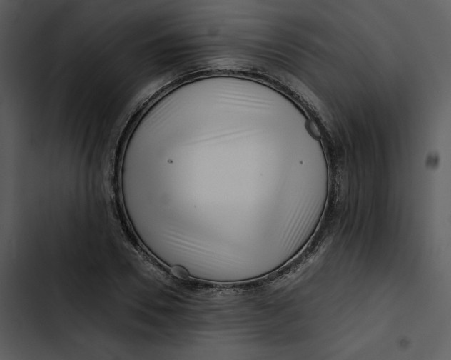 X0000102820930200809081127