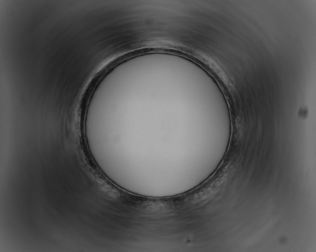 X0000102820931200809081127