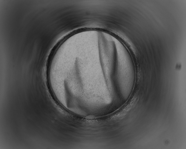 X0000102820935200809081127