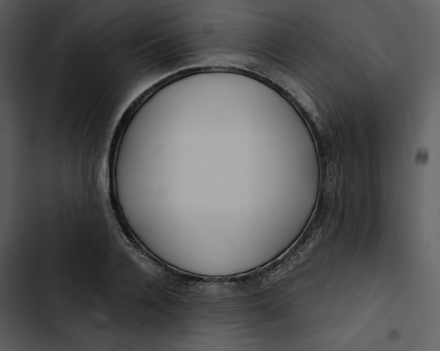 X0000102820936200809081127