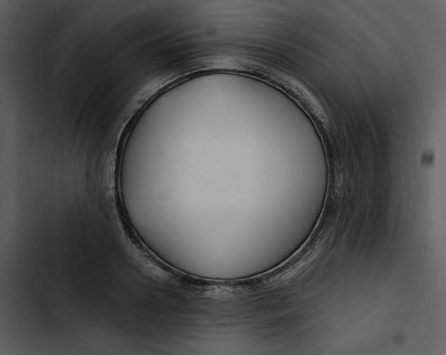 X0000102820938200809081127