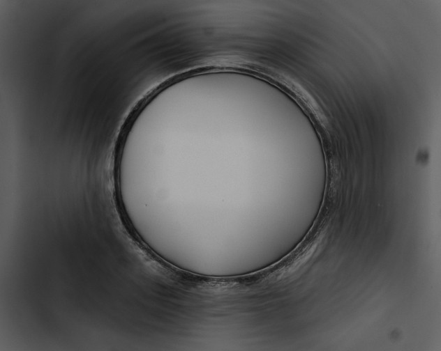 X0000102820939200809081127