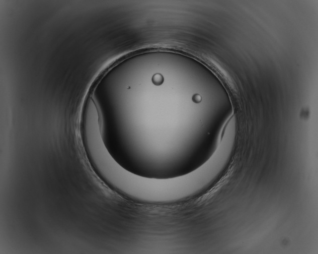 X0000102820940200809081127