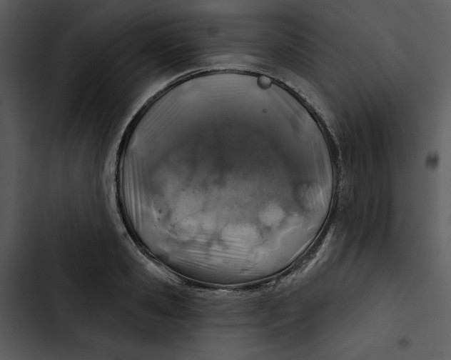 X0000102820941200809081127