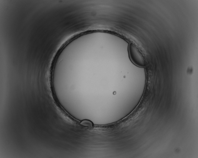 X0000102820942200809081127