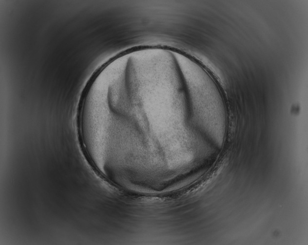 X0000102820943200809081128