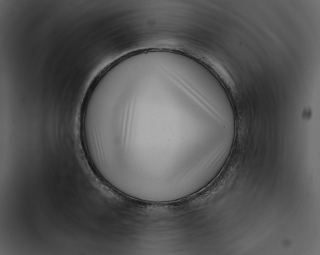 X0000102820944200809081128