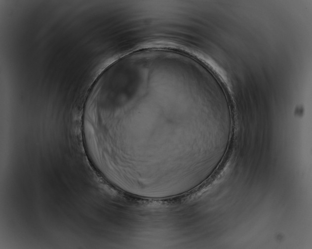 X0000102820945200809081128