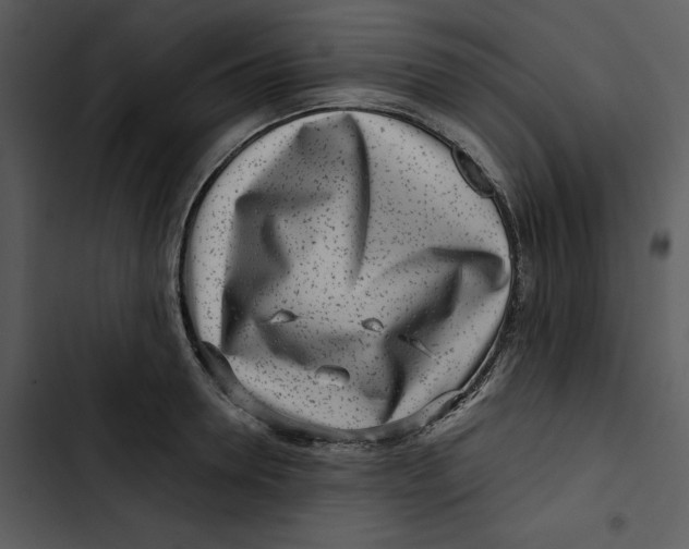 X0000102820946200809081128