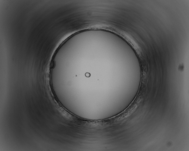 X0000102820948200809081128