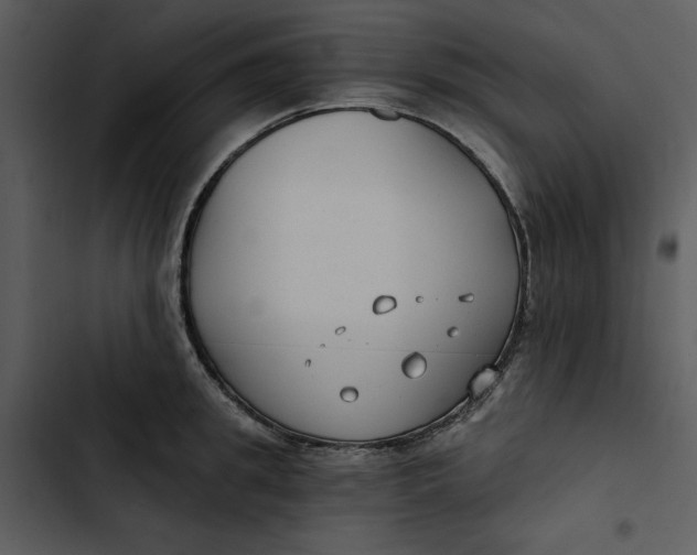 X0000102820949200809081128