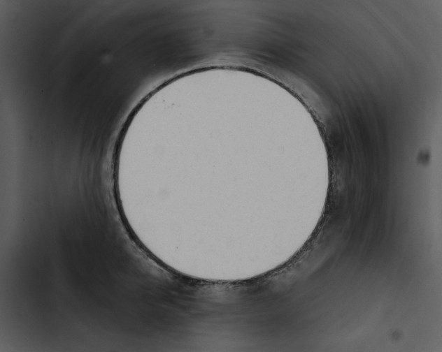 X0000102820950200809081128