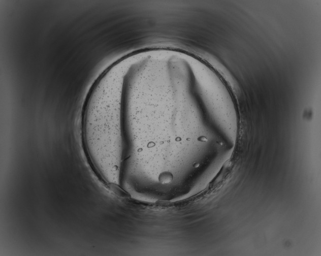 X0000102820951200809081128