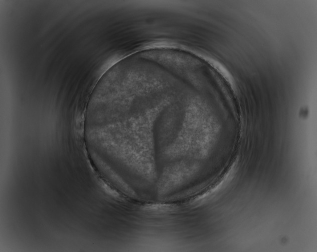 X0000102820953200809081128