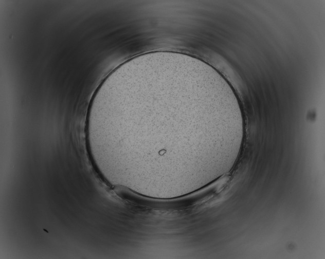 X0000102820954200809081128