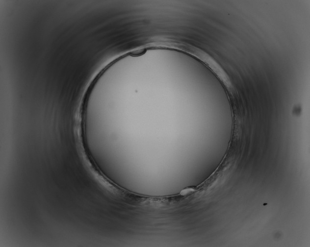 X0000102820955200809081128